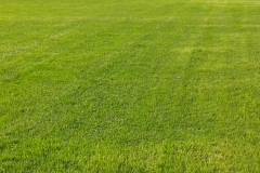 img20130807_094252