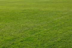 img20130807_094301