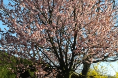 20130414_180335