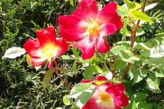 20130601_121435