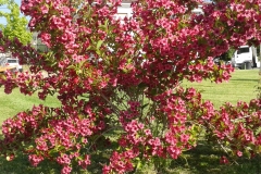 20130605_091747