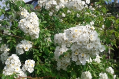 20130615_093401
