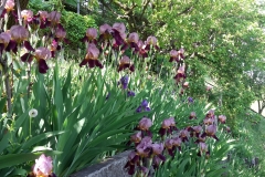 20150506_143526