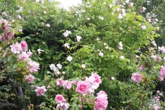 20150525_085225