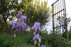 20150525_085525